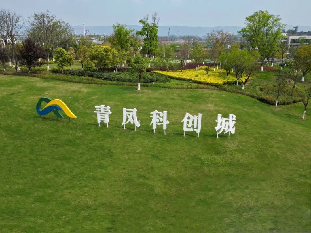 重慶沙坪壩多個(gè)壓鑄重點(diǎn)項(xiàng)目建設(shè)進(jìn)度加快