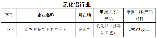 1家氧化鋁企業(yè)擬入選2024年度省級(jí)重點(diǎn)行業(yè)能效“領(lǐng)跑者”名單