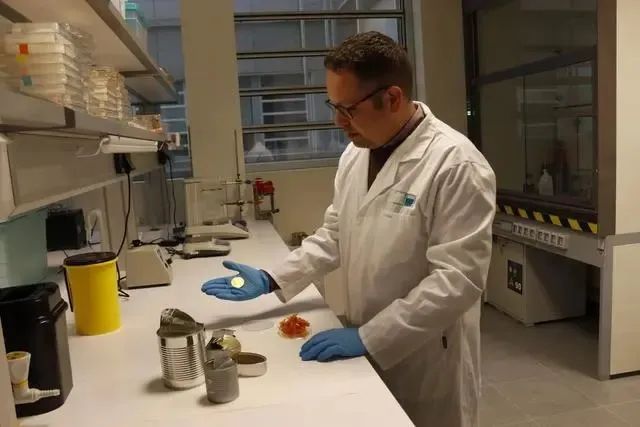 科學(xué)家將番茄廢料用于制造不含雙酚A的食品罐頭涂料