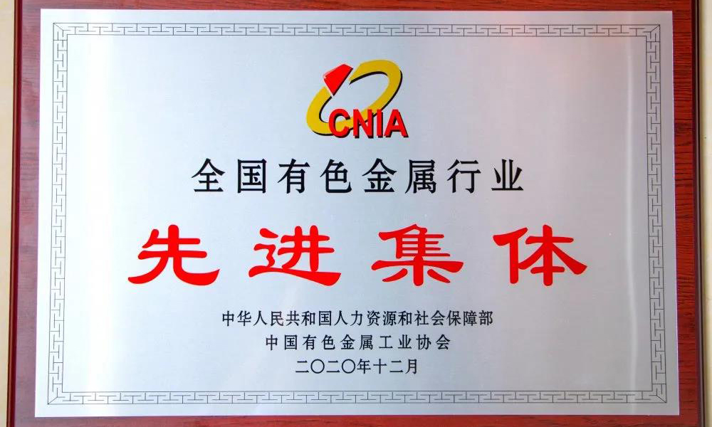 行業(yè)先進(jìn)集體，大國(guó)品牌，為新河點(diǎn)贊