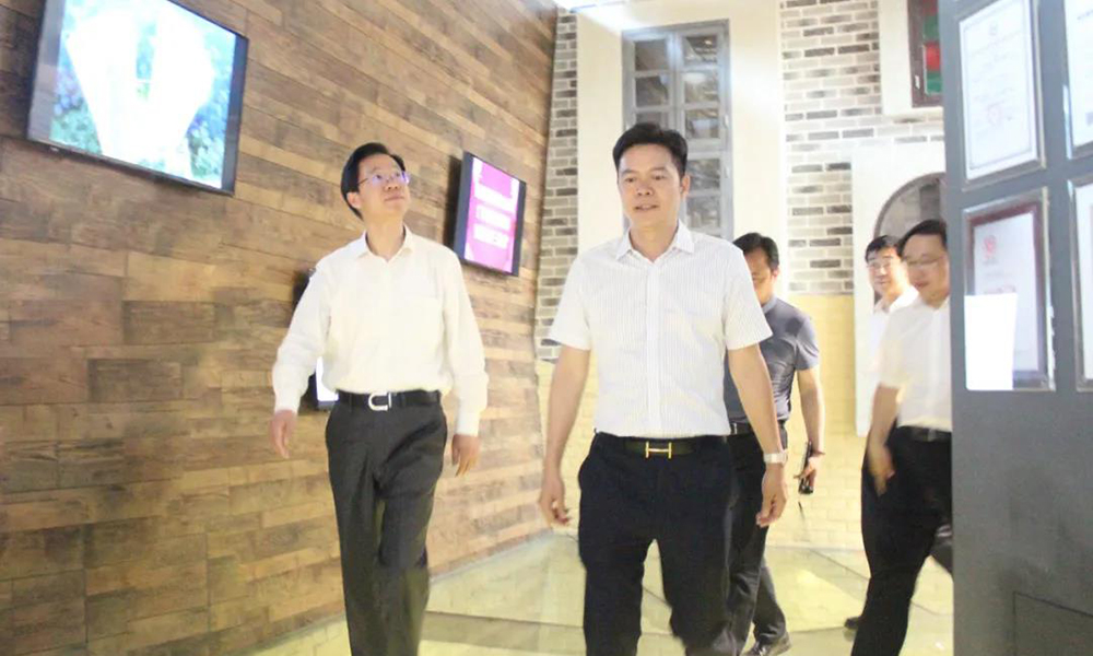 徐州市長莊兆林一行蒞臨廣東偉業(yè)集團調(diào)研指導(dǎo)工作