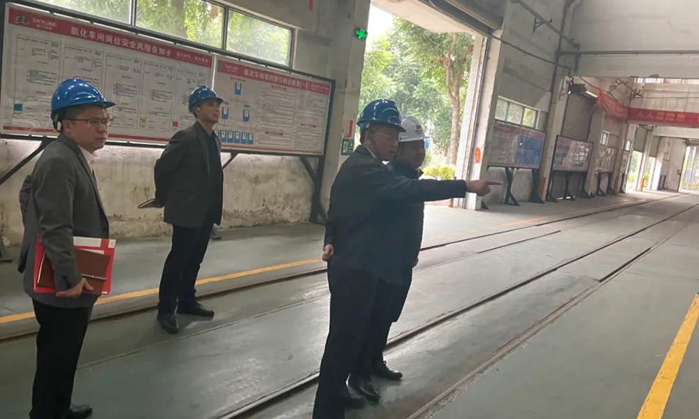 銀正鋁業(yè)丨2021年三水區(qū)暖春行動(dòng)第十九工作組蒞臨了解企業(yè)復(fù)工復(fù)產(chǎn)情況