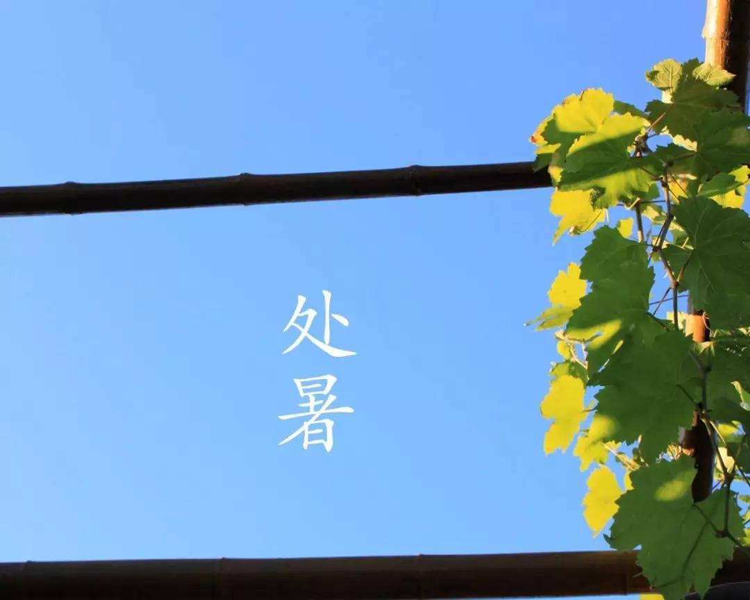 微信圖片_20210818100905.jpg