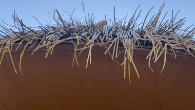 微信圖片_20211214164229.gif