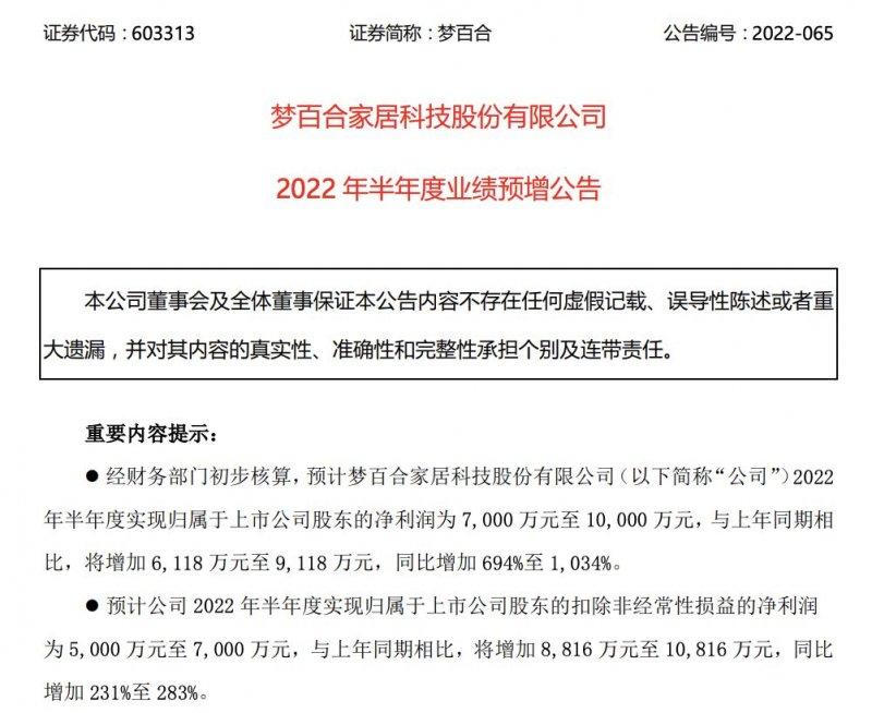 19大上市家居企業(yè)2022上半年業(yè)績_15