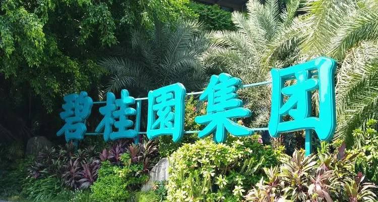 碧桂園再爆響雷！多家家居企業(yè)回應(yīng)“踩雷”情況_3