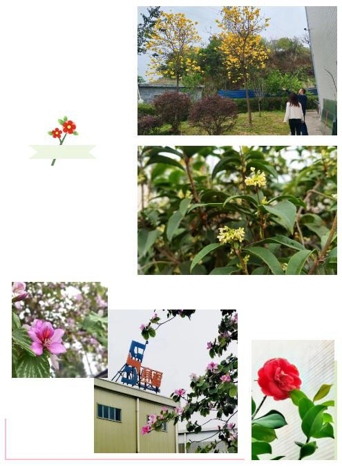 微信截圖_20240325104822.png