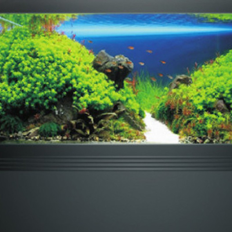 魚缸系列