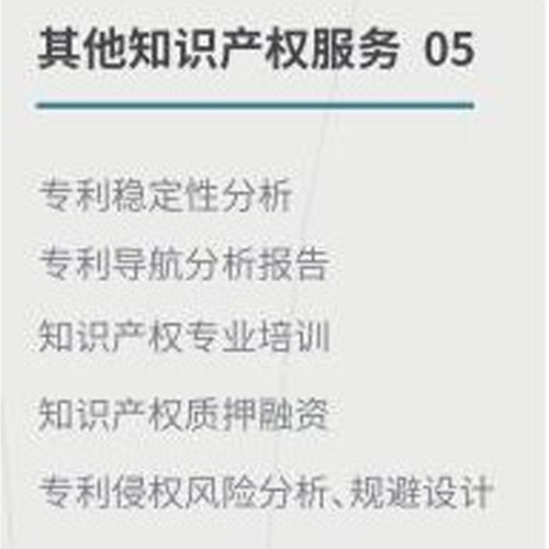 其他知識產(chǎn)權服務