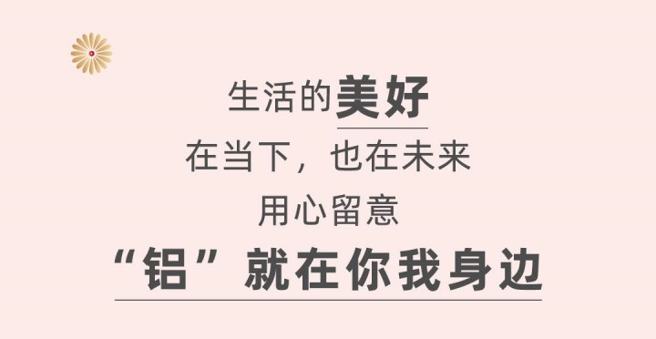 2023鋁加工企業(yè)新春賀年系列——齊力澳美