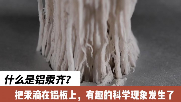 什么是鋁汞齊？把汞滴在鋁板上，有趣的科學(xué)現(xiàn)象發(fā)生了