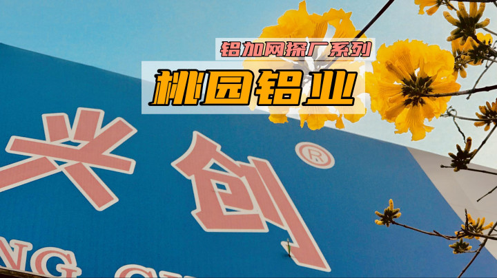 專注鋁材品質(zhì)，興創(chuàng)構(gòu)筑未來(lái)！鋁加網(wǎng)帶你走進(jìn)桃園鋁業(yè)