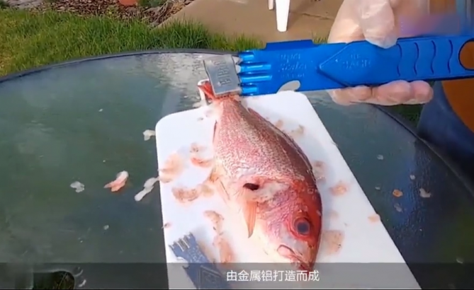 金屬鋁所制成的去魚鱗神器，五秒搞定一條，賣魚老板開心笑了！